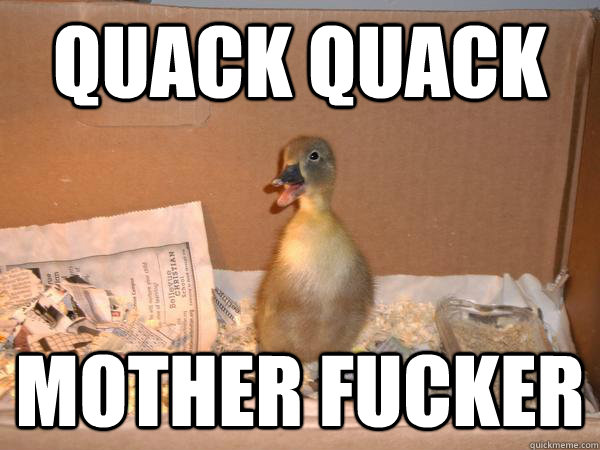 Quack Quack Mother fucker  