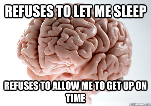 Refuses to let me sleep Refuses to allow me to get up on time  Scumbag Brain