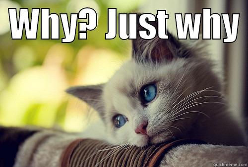  WHY? JUST WHY   First World Problems Cat