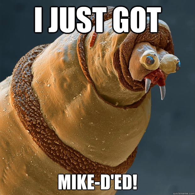 I just got Mike-D'ed!  Derp larva