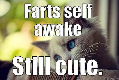 FARTS SELF AWAKE STILL CUTE. First World Problems Cat