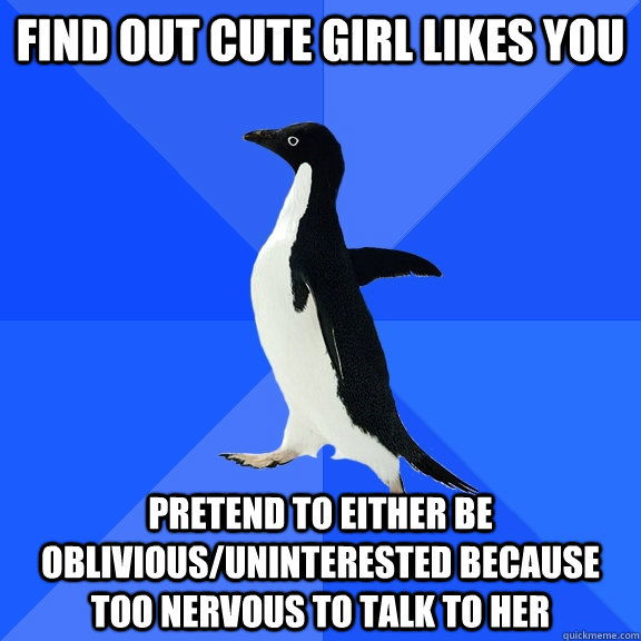 Find out cute girl likes you Pretend to either be oblivious/uninterested because too nervous to talk to her   Socially Awkward Penguin