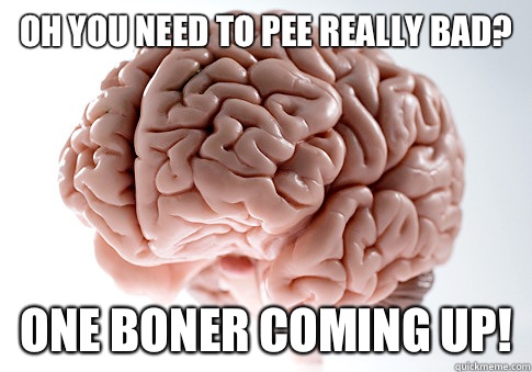 Oh you need to pee really bad? One boner coming up!  Scumbag Brain