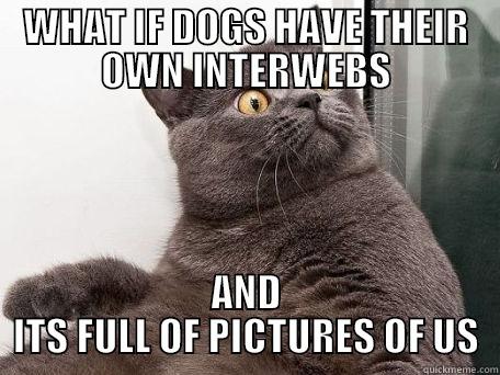 Internet Catspiracy - WHAT IF DOGS HAVE THEIR OWN INTERWEBS AND ITS FULL OF PICTURES OF US conspiracy cat