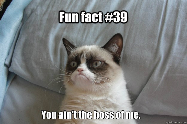 Fun fact #39 You ain't the boss of me.  tard grumpy cat
