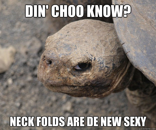 Din' choo know? Neck folds are de new sexy  Insanity Tortoise