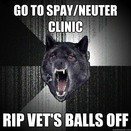 go to spay/neuter clinic rip vet's balls off   Insanity Wolf