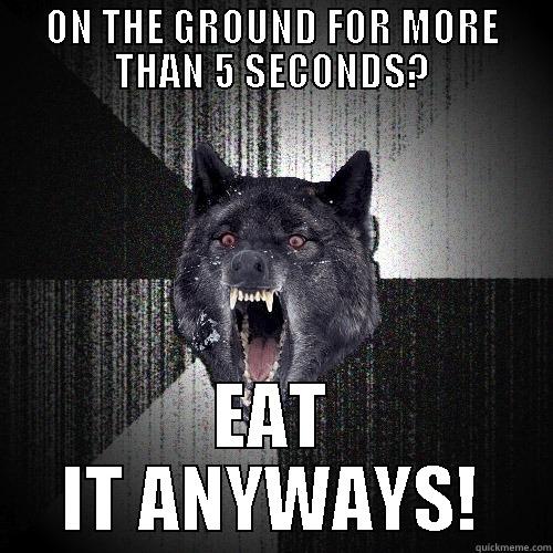 ON THE GROUND FOR MORE THAN 5 SECONDS? EAT IT ANYWAYS! Insanity Wolf