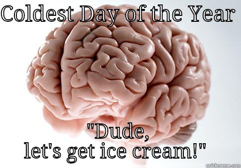 COLDEST DAY OF THE YEAR  