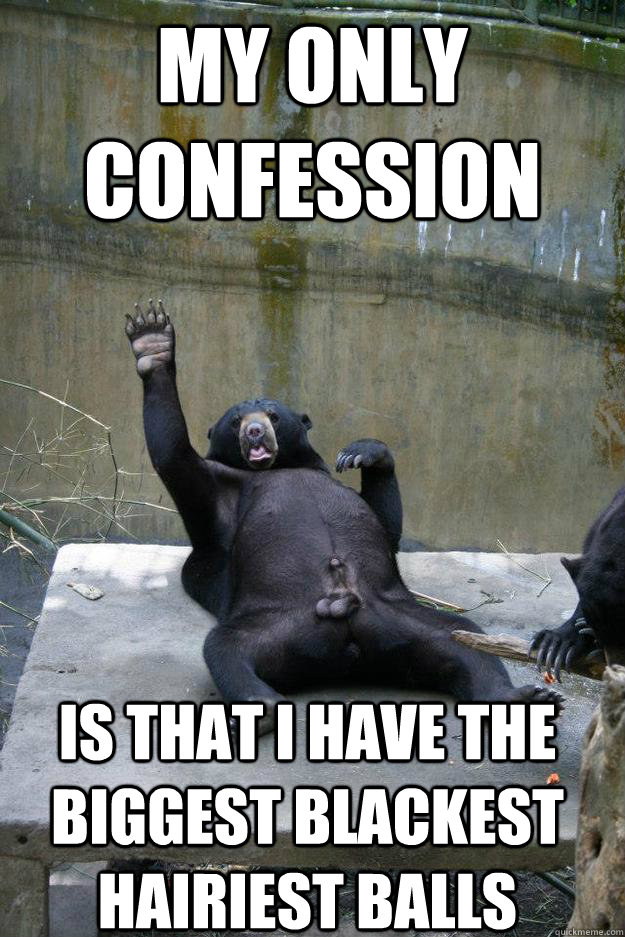 my only confession is that i have the biggest blackest hairiest balls  Ballsy Bear
