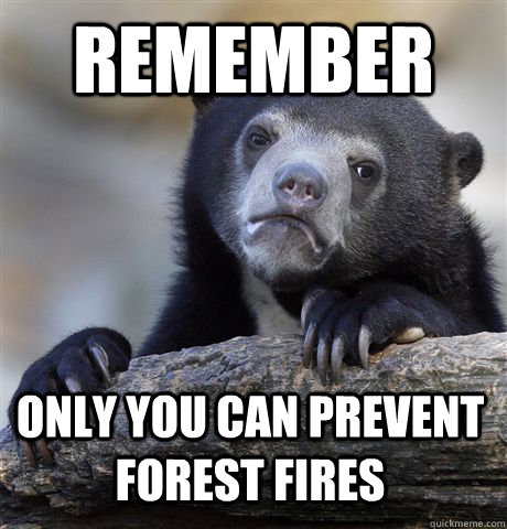 remember only you can prevent forest fires - remember only you can prevent forest fires  Confession Bear