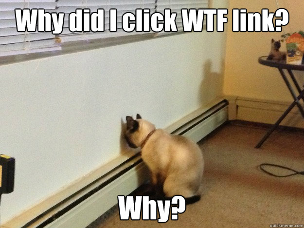 Why did I click WTF link? Why?  Regretful Cat