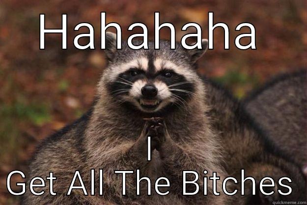 I get em all - HAHAHAHA I GET ALL THE BITCHES Evil Plotting Raccoon