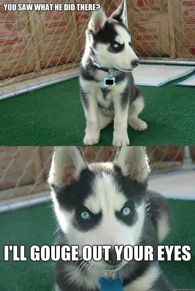 you saw what he did there? i'll gouge out your eyes  Insanity puppy