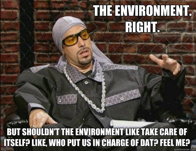 The environment. Right. But shouldn't the environment like take care of itself? Like, who put us in charge of dat? Feel me?  