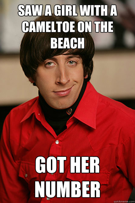 saw a girl with a cameltoe on the beach got her number - saw a girl with a cameltoe on the beach got her number  Pickup Line Scientist