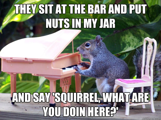 they sit at the bar and put nuts in my jar and say 'squirrel, what are you doin here?' - they sit at the bar and put nuts in my jar and say 'squirrel, what are you doin here?'  piano squirrel