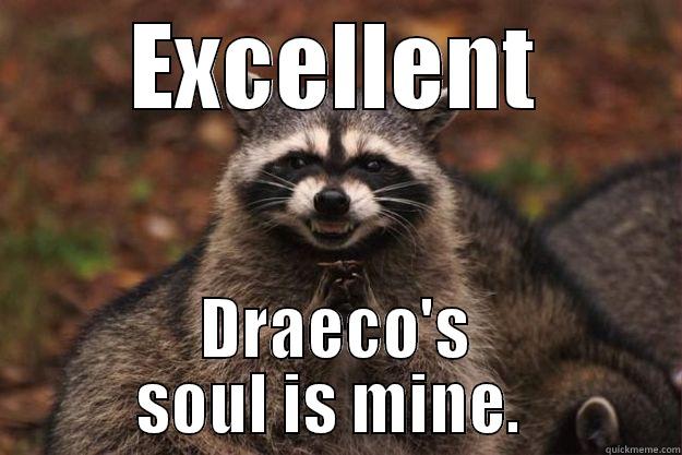 EXCELLENT DRAECO'S SOUL IS MINE.  Evil Plotting Raccoon