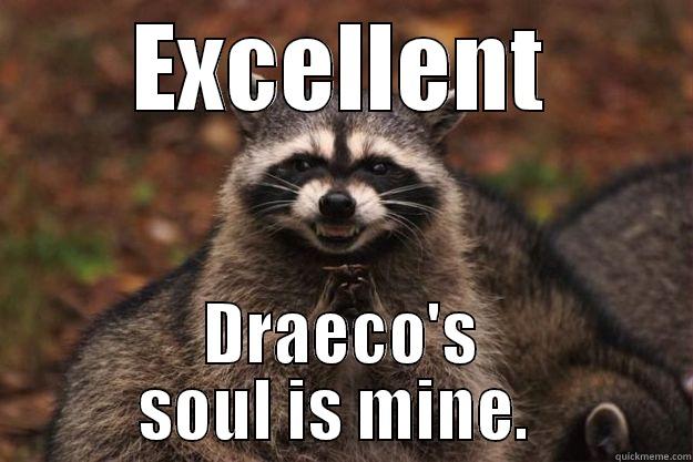 DD Mwhaha - EXCELLENT DRAECO'S SOUL IS MINE.  Evil Plotting Raccoon