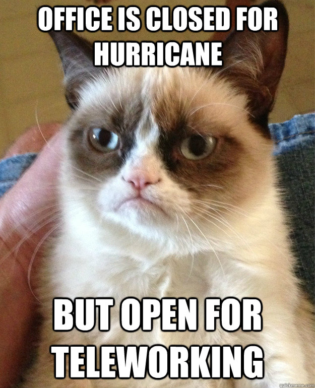 office is closed for hurricane but open for teleworking  Grumpy Cat
