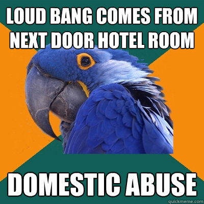loud bang comes from next door hotel room domestic abuse  Paranoid Parrot