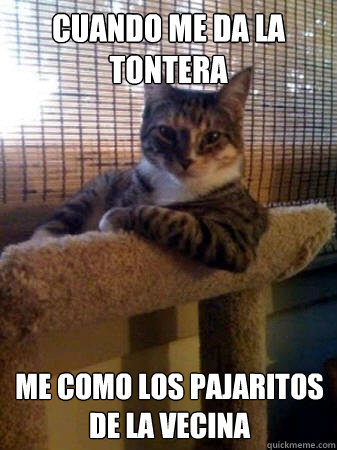 Cuando me da la tontera Me como los pajaritos de la vecina  The Most Interesting Cat in the World