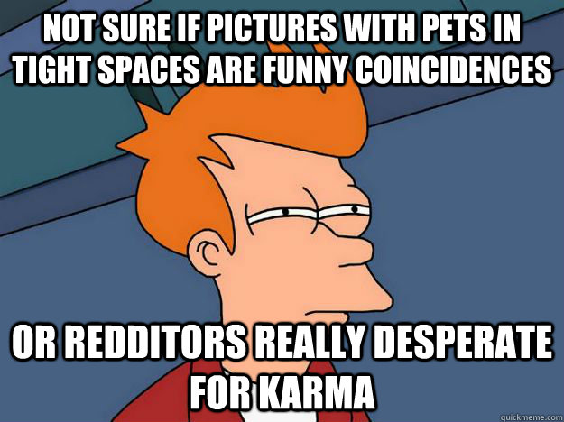 Not sure if pictures with pets in tight spaces are funny coincidences or redditors really desperate for karma  Skeptical fry