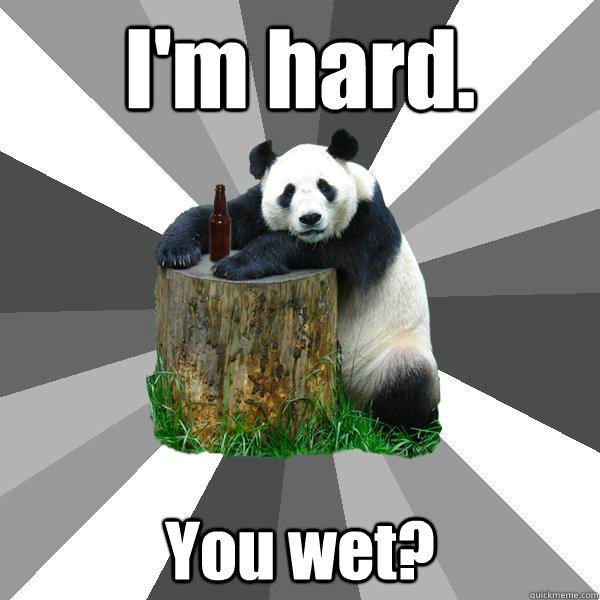 I'm hard. You wet? - I'm hard. You wet?  Pickup-Line Panda