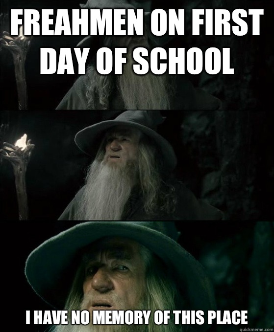 Freahmen on first day of school I have no memory of this place  Confused Gandalf