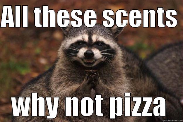 all the smells - ALL THESE SCENTS  WHY NOT PIZZA Evil Plotting Raccoon