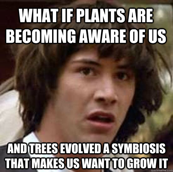 What if plants are becoming aware of us and trees evolved a symbiosis that makes us want to grow it  conspiracy keanu