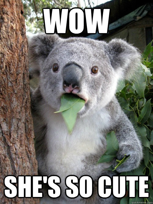 wow she's so cute  Amazed Koala