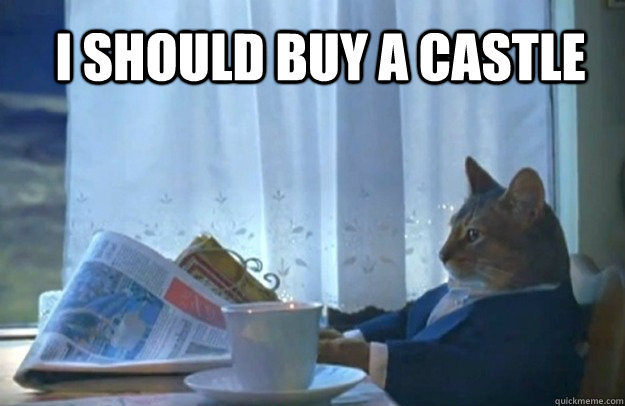 i should buy a castle  Sophisticated Cat