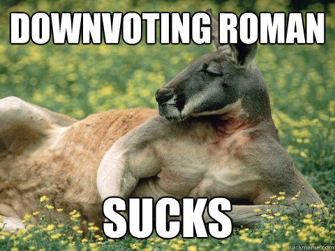 downvoting roman sucks - downvoting roman sucks  Quickmeme Critic Kangaroo