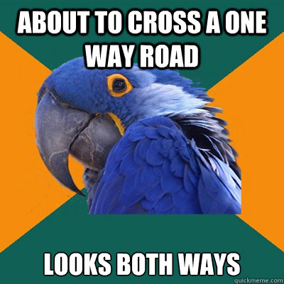 About to cross a one way road Looks both ways  Paranoid Parrot