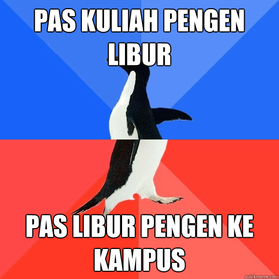 pas kuliah pengen libur pas libur pengen ke kampus  Socially Awkward Awesome Penguin