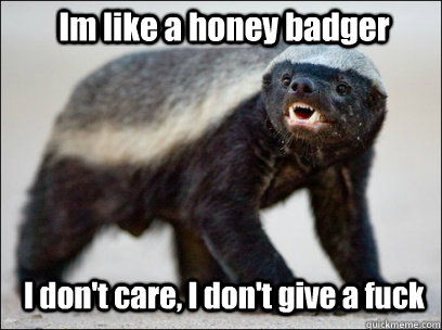 Im like a honey badger I don't care, I don't give a fuck  Honey Badger