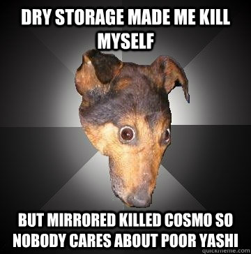 dry storage made me kill myself but mirrored killed cosmo so nobody cares about poor Yashi  Depression Dog