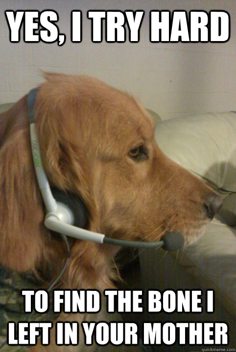 yes, I try hard  to find the bone I left in your mother  Xbox Live Dog
