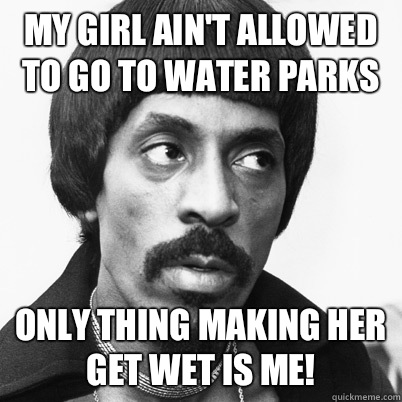My girl ain't allowed to go to water parks Only thing making her get wet is me!  Ike Turner