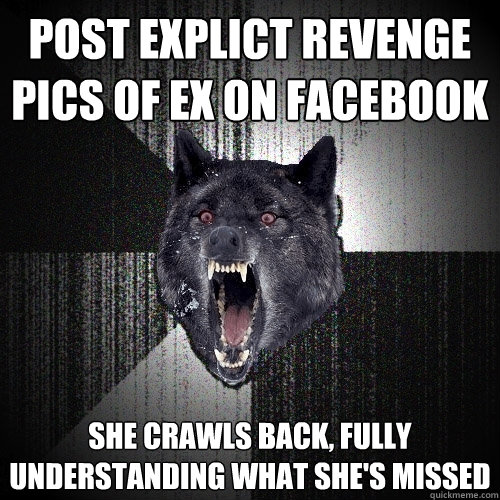 post explict revenge pics of ex on facebook she crawls back, fully understanding what she's missed  Insanity Wolf