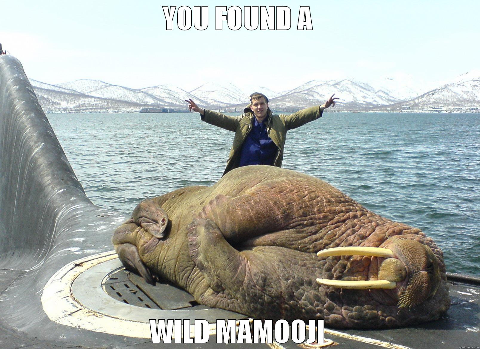 YOU FOUND A WILD MAMOOJI Misc