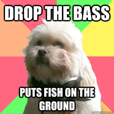 drop the bass puts fish on the ground  - drop the bass puts fish on the ground   DJ Fluffy