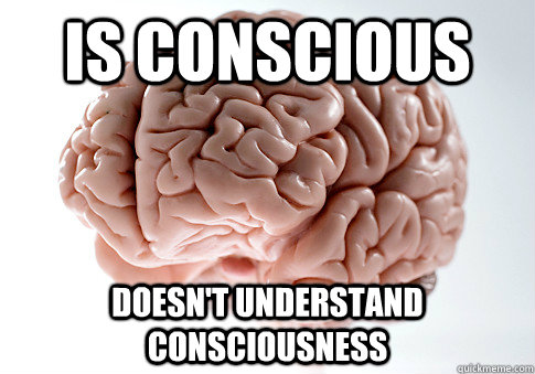 IS CONSCIOUS DOESN'T UNDERSTAND CONSCIOUSNESS   Scumbag Brain