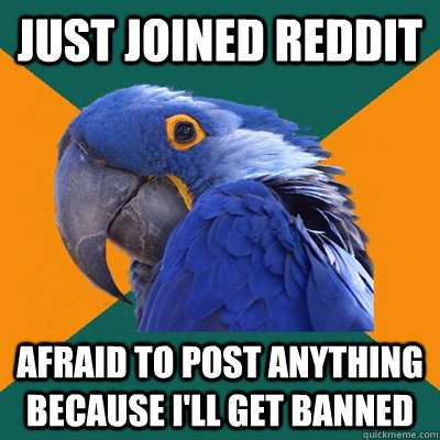 Just joined Reddit Afraid to post anything because I'll get banned  Paranoid Parrot