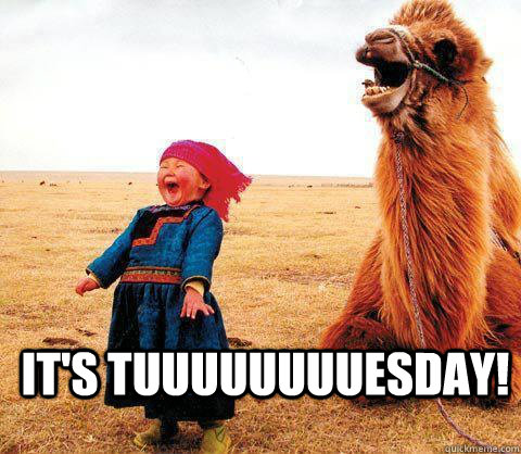 It's tuuuuuuuuesday! - It's tuuuuuuuuesday!  Its Tuesday