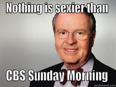 NOTHING IS SEXIER THAN CBS SUNDAY MORNING Misc