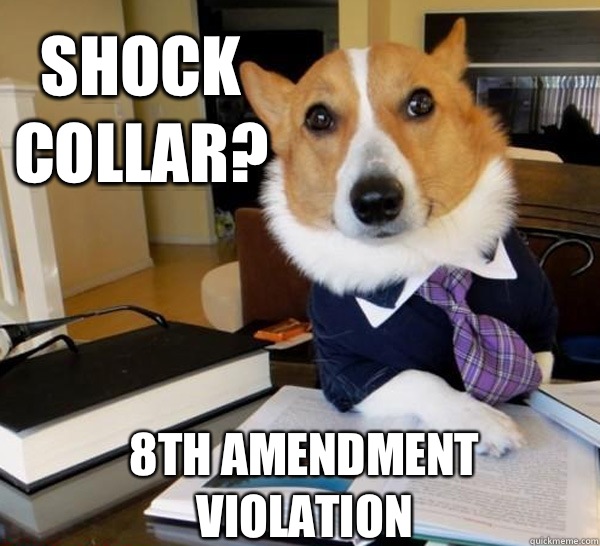 Shock collar? 8th amendment violation  Lawyer Dog