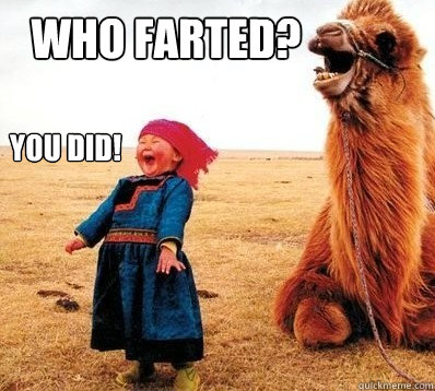 WHO FARTED? YOU DID!  