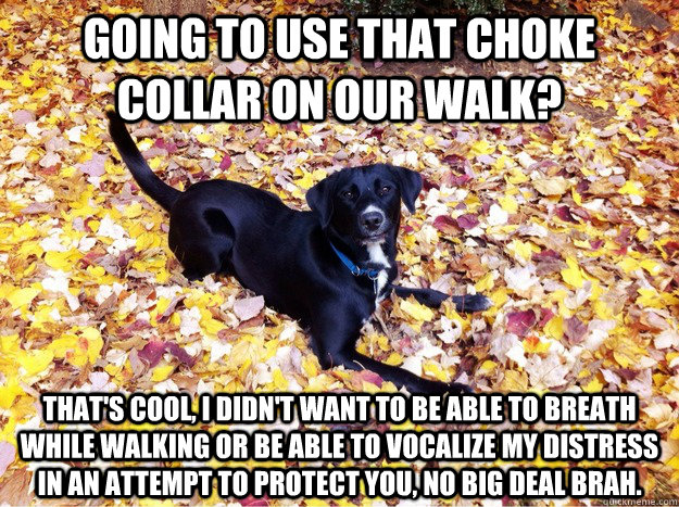Going to use that choke collar on our walk? That's cool, I didn't want to be able to breath while walking or be able to vocalize my distress in an attempt to protect you, no big deal brah. - Going to use that choke collar on our walk? That's cool, I didn't want to be able to breath while walking or be able to vocalize my distress in an attempt to protect you, no big deal brah.  Guilt Giving Good Dog